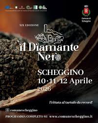 Poster il diamante nero 2026